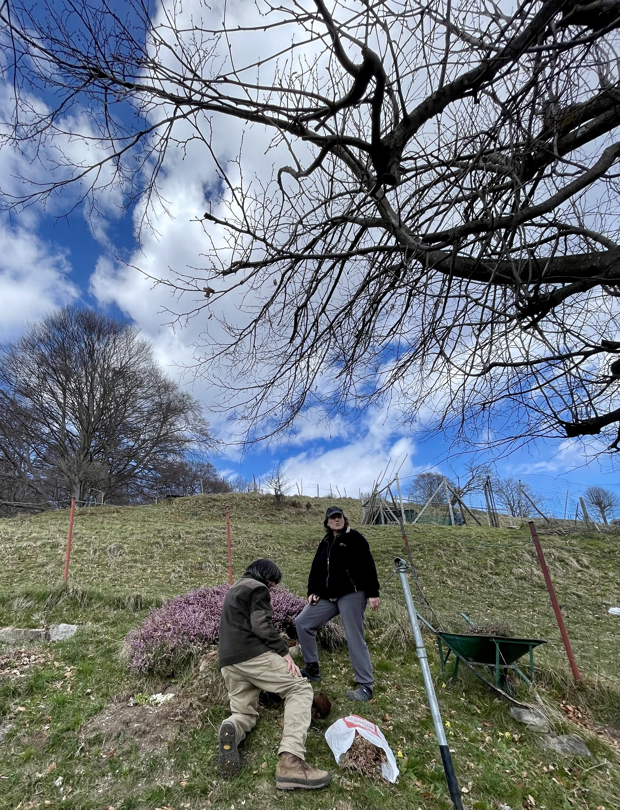 Passeggiata botanica